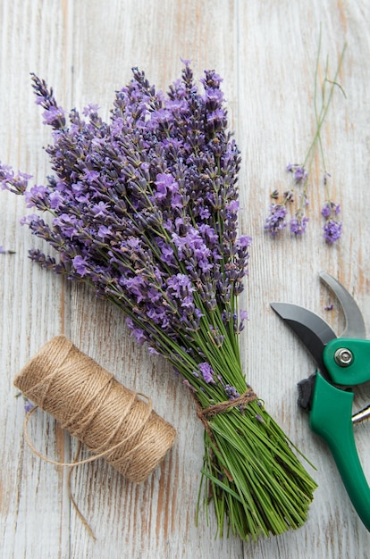 Seasonal pruning of lavender