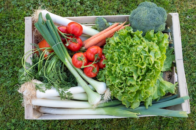 Seasonal vegetables in a wooden crate