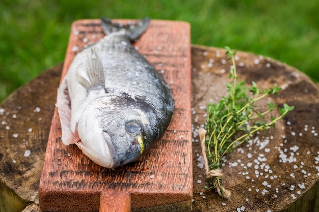 Seasoning whole sea bream with thyme and salt