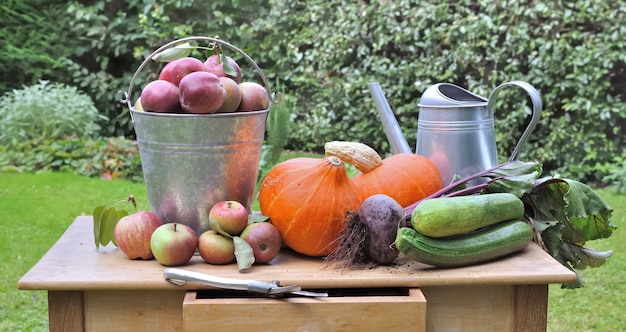 Photo seasonnal vegetables and apples