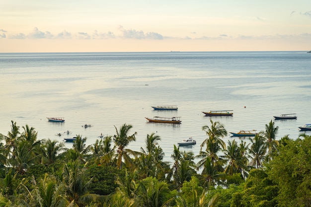 Seaview on boats sailing on water and green palms in the front