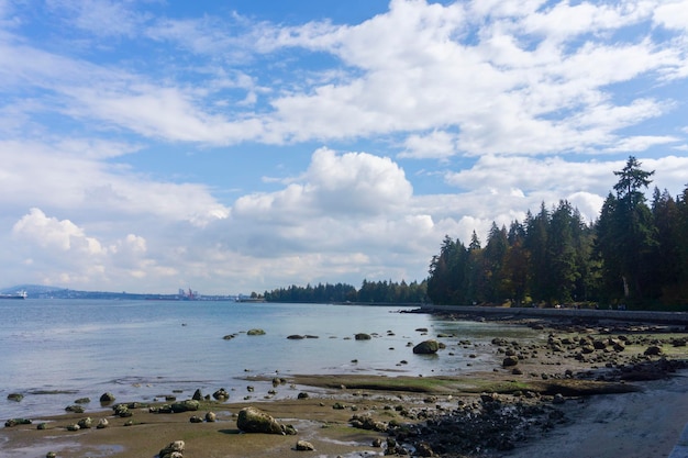 The seawall waterfront path in Stanley Park Vancouver