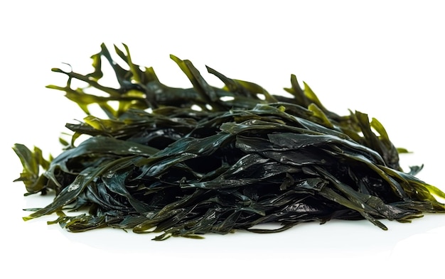 Seaweed isolated on white