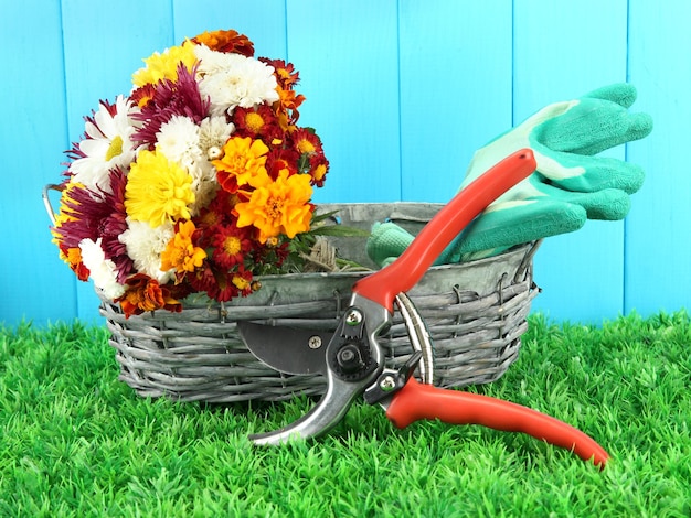 Secateurs with flowers in basket on wooden background