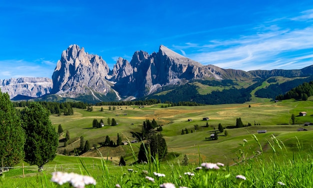 Photo seceda mountains at the dolomites trentino alto adige val di funes valley south tyrol in italy