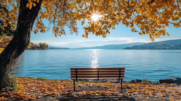 Photo secluded bench under tree by calm lake in fall