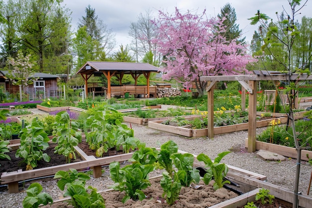 See a community garden planted with indigenous cro generative ai