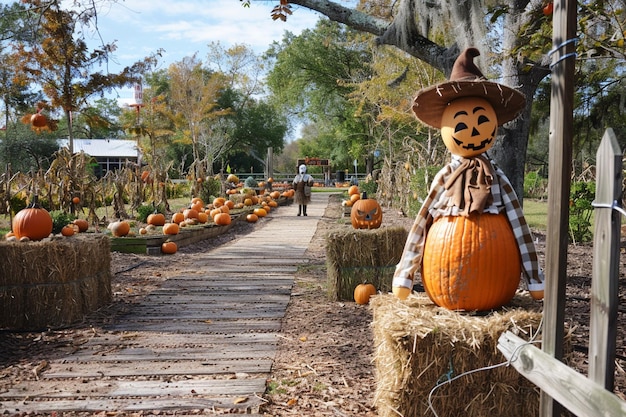 Photo see scarecrows and hay bales adorning the pathways generative ai