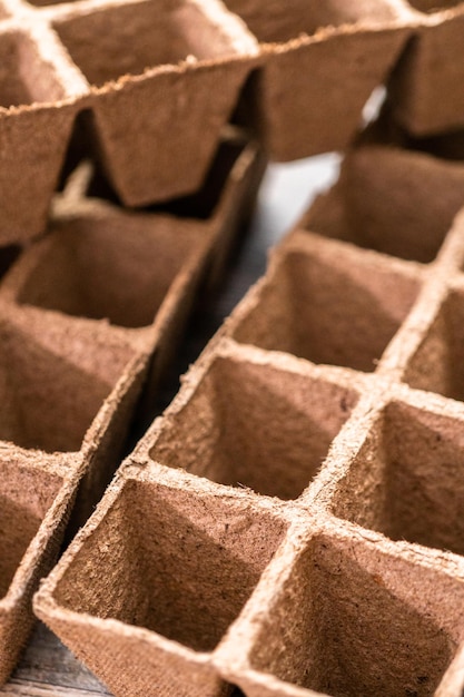 Seed starter pots made out of peat moss.