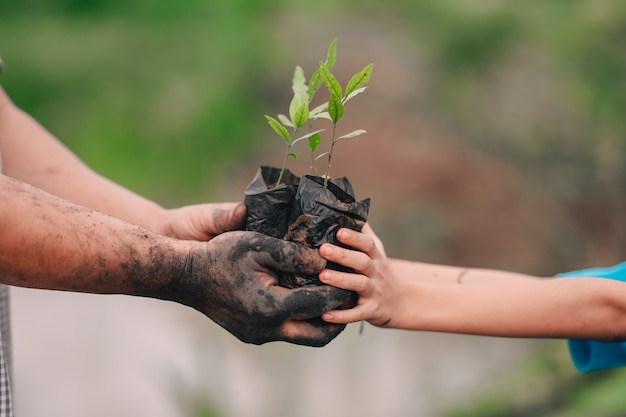 Seeding of tree and hand of adults people and children to planting in dirt