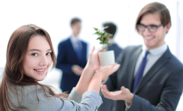 Seedling in the hands of a business woman