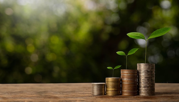 The seedlings are growing on the coins that are stacked together against of sun lightxA