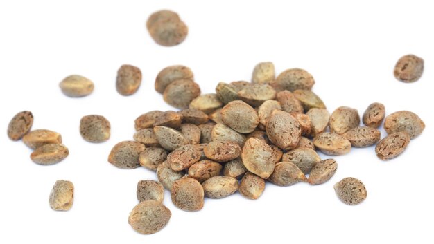 Seeds of Cannabis or hemp over white background