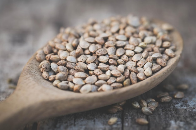 Seeds of Cannabis or hemp in a wooden spoon