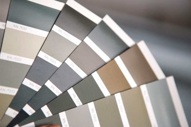 Selection of the paint color for decorative home repairs to the palette with layouts of the RAL A fan of shades in your hand inside the home Repair and construction paint and varnish coating