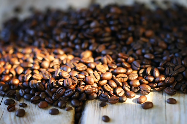 Selective focus. Coffee beans. Roasted arabica and rubust.