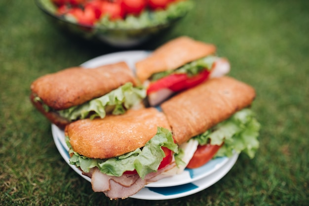 Selective focus delicious sandwiches with tomatoes, onions and lettuce staying on plate on picnic. Tasty salad and vegetables staying on grass in garden at background. Concept of health and food.