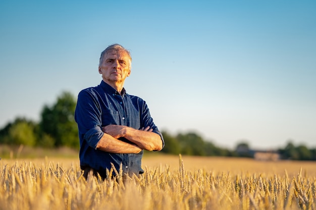 Selective focus on man standing in rape wheat field. Harvest season. Male stands cross hands against blue sky.