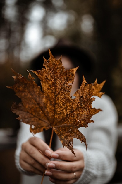 Selective focus shot of female hands holding a golden maple leaf