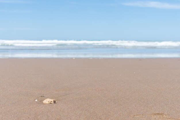 Selective focus of a stone on the sand on the beach with the sea in the background