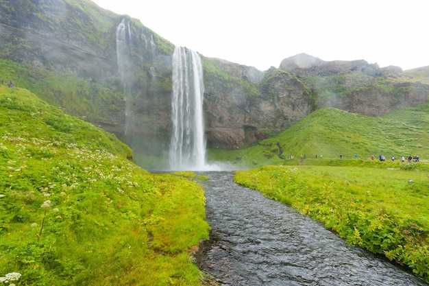 Seljalandsfoss falls in summer season view Iceland