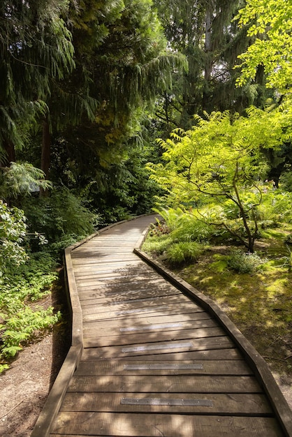 Sendall Gardens in a modern suburban city park Summer season