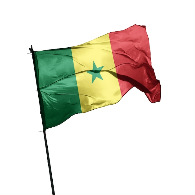 Photo senegal flag on white background