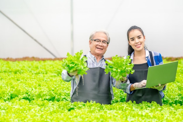 Senior Asian man and woman farmer showning freshness of vegetables in farm