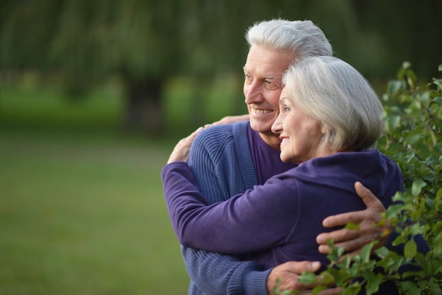 Senior couple in autumn park