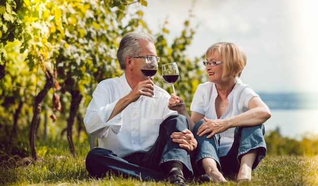 Senior couple enjoying red wine outdoors