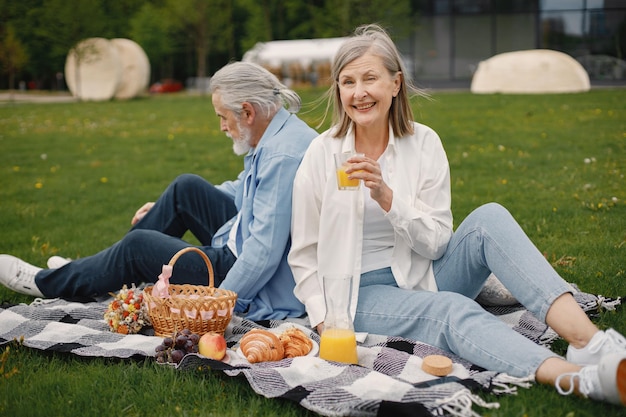 Senior couple having a great time on a picnic in summer