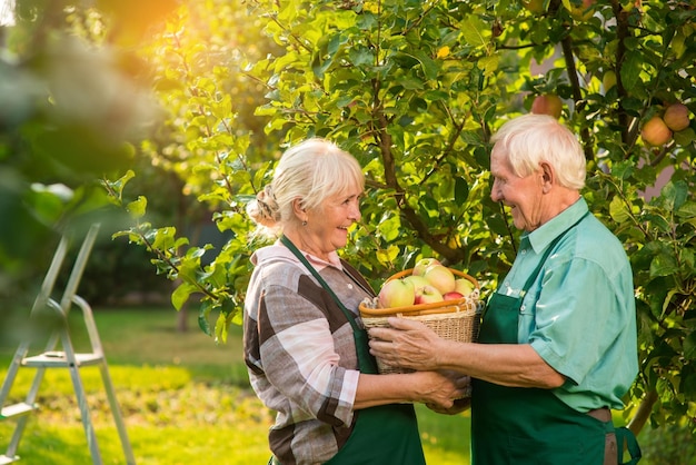 Senior couple holding apple basket