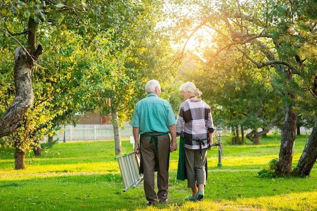 Senior couple holding hands outdoor woman and man back view together under the sun