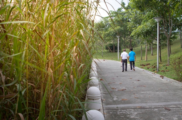 Senior couple holding hands at the park