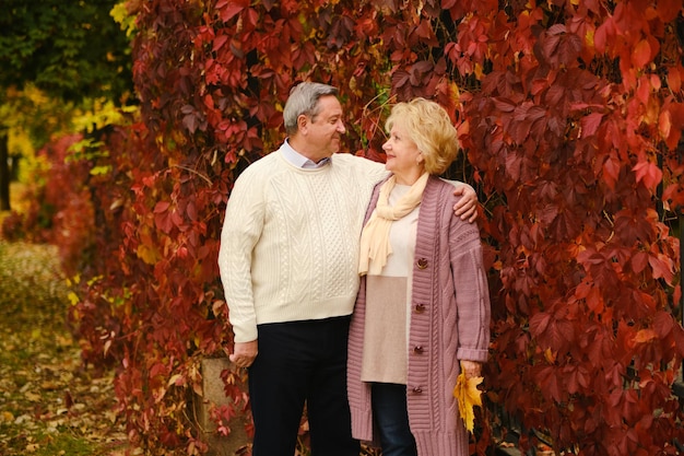 Senior couple in the park on an autumns day