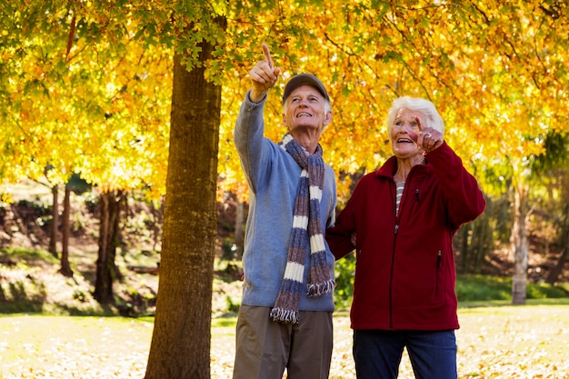 Senior couple pointing something