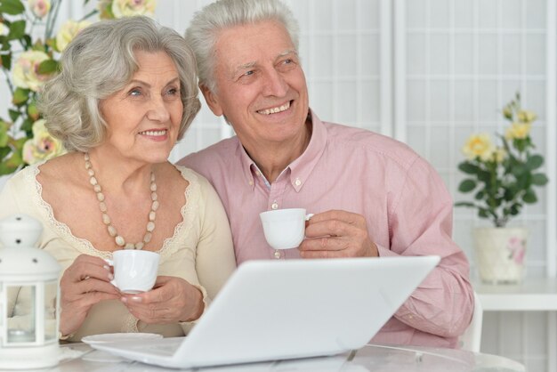 Senior couple portrait with laptop at home