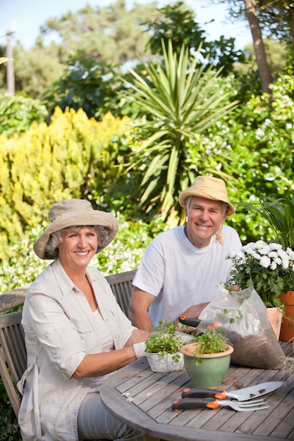 Senior couple sitting in their garden