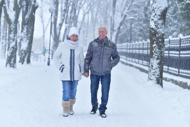 Senior couple at winter outdoors