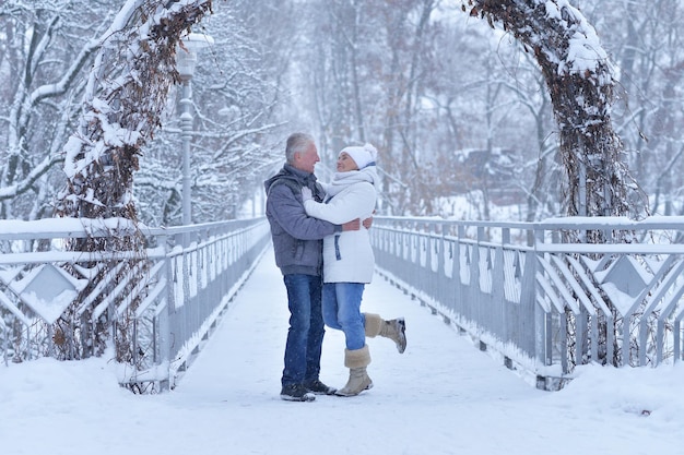 Senior couple at winter outdoors