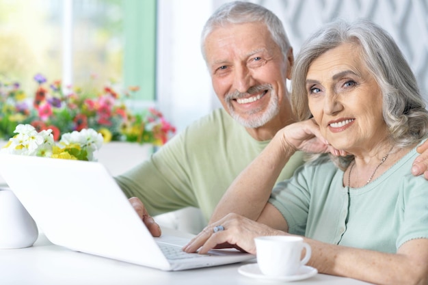 Senior couple with laptop