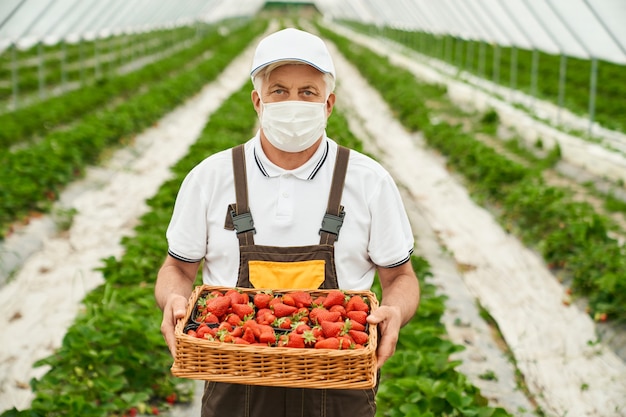 Senior farmer in mask posing with basket of strawberries