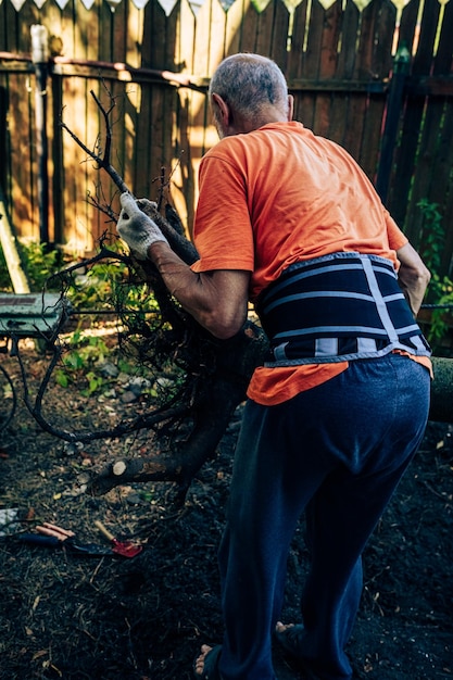 Senior gardener working on backyard seasonal garden occupation view from back on mature man removing