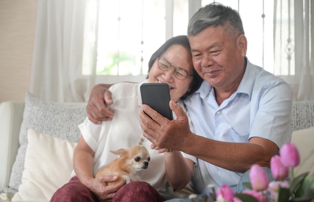 Senior husband and wife use smartphone for video calling in the house with chihuahua dog.