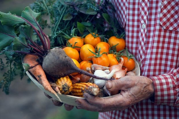 Senior man in the garden with a bowl of vegetables from your garden