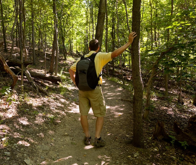 Senior man hiking in forest with backpack