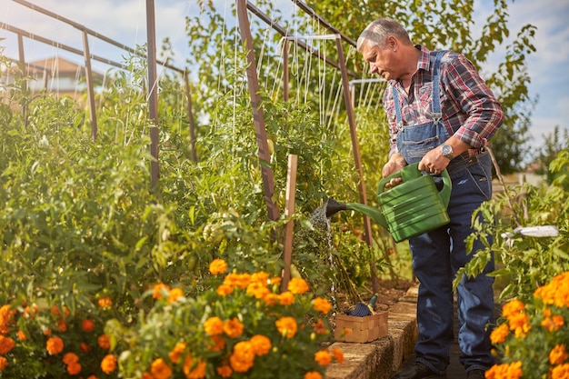 Senior man standing watering the plants from a pot in his garden