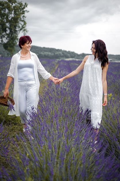 Senior mother with adult daughter walking on the lavender field