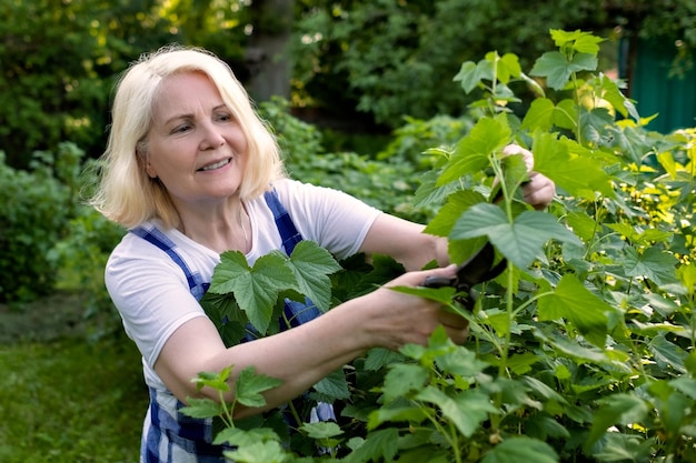 Senior woman cutting trimming branches doing garden work