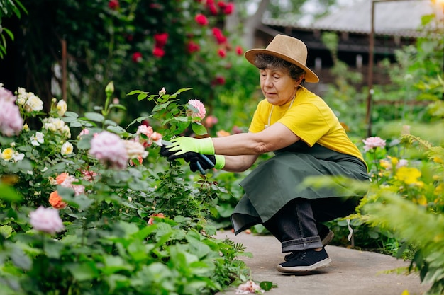 Senior woman gardener in a hat working in her yard with work tools The concept of gardening growing and caring for flowers and plants